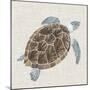 Sea Turtle I-Naomi McCavitt-Mounted Art Print
