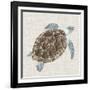 Sea Turtle I-Naomi McCavitt-Framed Giclee Print