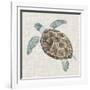 Sea Turtle II-Naomi McCavitt-Framed Art Print