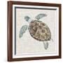 Sea Turtle II-Naomi McCavitt-Framed Art Print