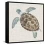 Sea Turtle II-Naomi McCavitt-Framed Stretched Canvas