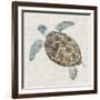 Sea Turtle II-Naomi McCavitt-Framed Art Print