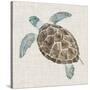 Sea Turtle II-Naomi McCavitt-Stretched Canvas