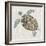 Sea Turtle II-Naomi McCavitt-Framed Art Print