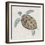 Sea Turtle II-Naomi McCavitt-Framed Art Print