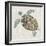 Sea Turtle II-Naomi McCavitt-Framed Art Print