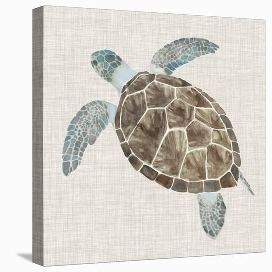 Sea Turtle II-Naomi McCavitt-Stretched Canvas