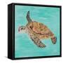 Sea Turtle II-Julie DeRice-Framed Stretched Canvas