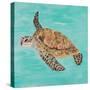 Sea Turtle II-Julie DeRice-Stretched Canvas