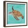 Sea Turtle II-Julie DeRice-Framed Art Print