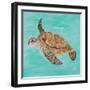 Sea Turtle II-Julie DeRice-Framed Art Print