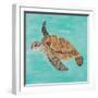 Sea Turtle II-Julie DeRice-Framed Art Print