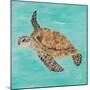 Sea Turtle II-Julie DeRice-Mounted Art Print