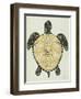 Sea Turtle in Black and Gold-Cat Coquillette-Framed Art Print
