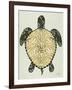 Sea Turtle in Black and Gold-Cat Coquillette-Framed Art Print