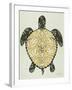 Sea Turtle in Black and Gold-Cat Coquillette-Framed Art Print