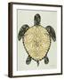 Sea Turtle in Black and Gold-Cat Coquillette-Framed Art Print