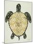 Sea Turtle in Black and Gold-Cat Coquillette-Mounted Art Print