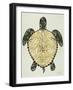 Sea Turtle in Black and Gold-Cat Coquillette-Framed Art Print