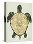 Sea Turtle in Black and Gold-Cat Coquillette-Stretched Canvas