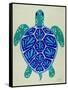 Sea Turtle in Blue– Cat Coquillette-Cat Coquillette-Framed Stretched Canvas