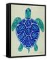 Sea Turtle in Blue– Cat Coquillette-Cat Coquillette-Framed Stretched Canvas