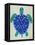 Sea Turtle in Blue– Cat Coquillette-Cat Coquillette-Framed Stretched Canvas