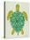 Sea Turtle in Lime-Cat Coquillette-Stretched Canvas
