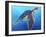 Sea Turtle - Rainbow-Dawgart-Framed Giclee Print