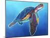 Sea Turtle - Rainbow-Dawgart-Mounted Giclee Print