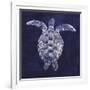 Sea Turtle Shadow I-Grace Popp-Framed Art Print