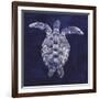 Sea Turtle Shadow I-Grace Popp-Framed Art Print