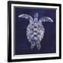 Sea Turtle Shadow I-Grace Popp-Framed Art Print