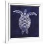 Sea Turtle Shadow I-Grace Popp-Framed Art Print