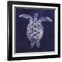 Sea Turtle Shadow I-Grace Popp-Framed Art Print