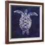 Sea Turtle Shadow I-Grace Popp-Framed Art Print