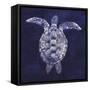 Sea Turtle Shadow I-Grace Popp-Framed Stretched Canvas