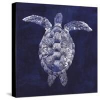 Sea Turtle Shadow I-Grace Popp-Stretched Canvas