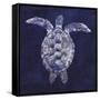 Sea Turtle Shadow I-Grace Popp-Framed Stretched Canvas