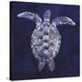 Sea Turtle Shadow I-Grace Popp-Stretched Canvas