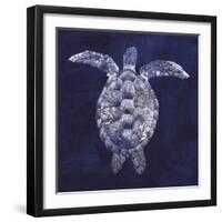 Sea Turtle Shadow I-Grace Popp-Framed Art Print