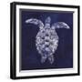 Sea Turtle Shadow I-Grace Popp-Framed Art Print