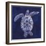 Sea Turtle Shadow II-Grace Popp-Framed Art Print