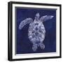 Sea Turtle Shadow II-Grace Popp-Framed Art Print