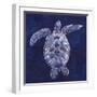 Sea Turtle Shadow II-Grace Popp-Framed Art Print