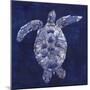 Sea Turtle Shadow II-Grace Popp-Mounted Art Print