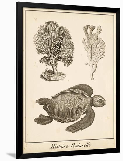 Sea Turtle Study I-Vision Studio-Framed Art Print