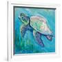 Sea Turtle Swim Light Flipped-Jeanette Vertentes-Framed Art Print