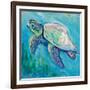 Sea Turtle Swim Light Flipped-Jeanette Vertentes-Framed Art Print