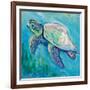 Sea Turtle Swim Light Flipped-Jeanette Vertentes-Framed Art Print